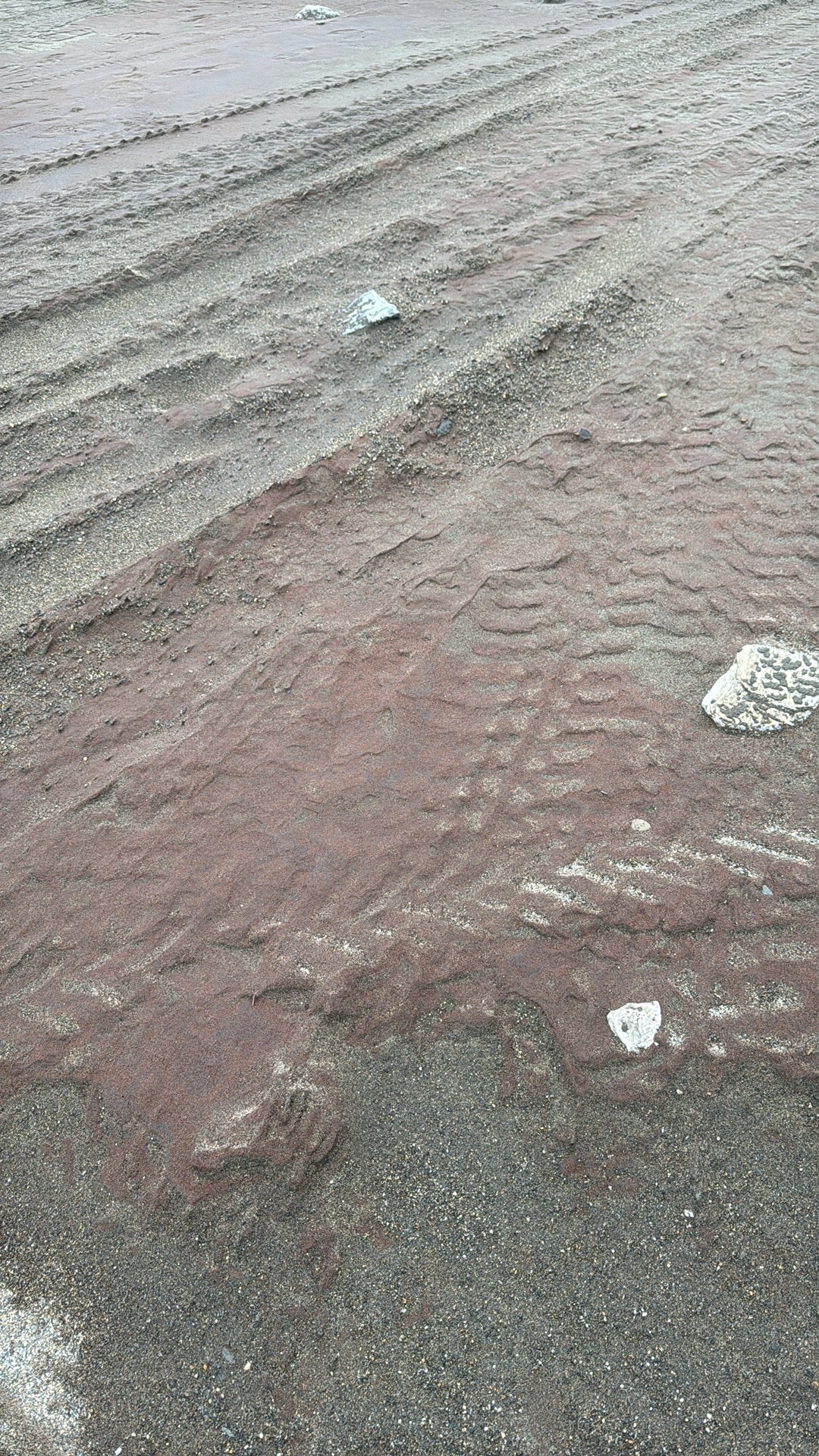 2 Lbs Red Sand Lover Paydirt