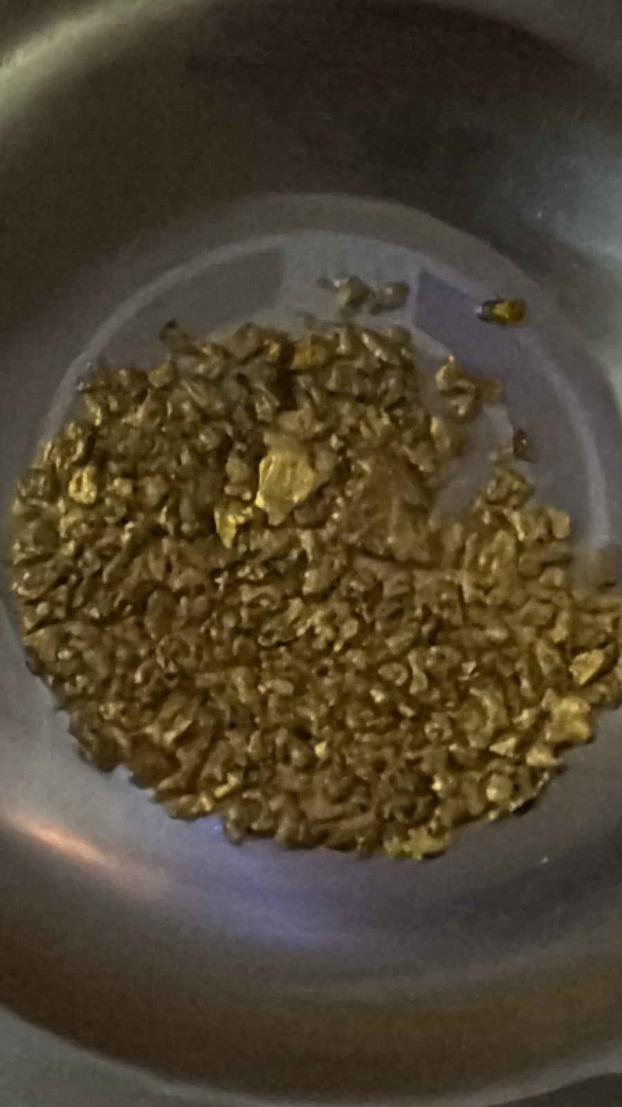 1.5 lbs Guaranteed Gold Paydirt