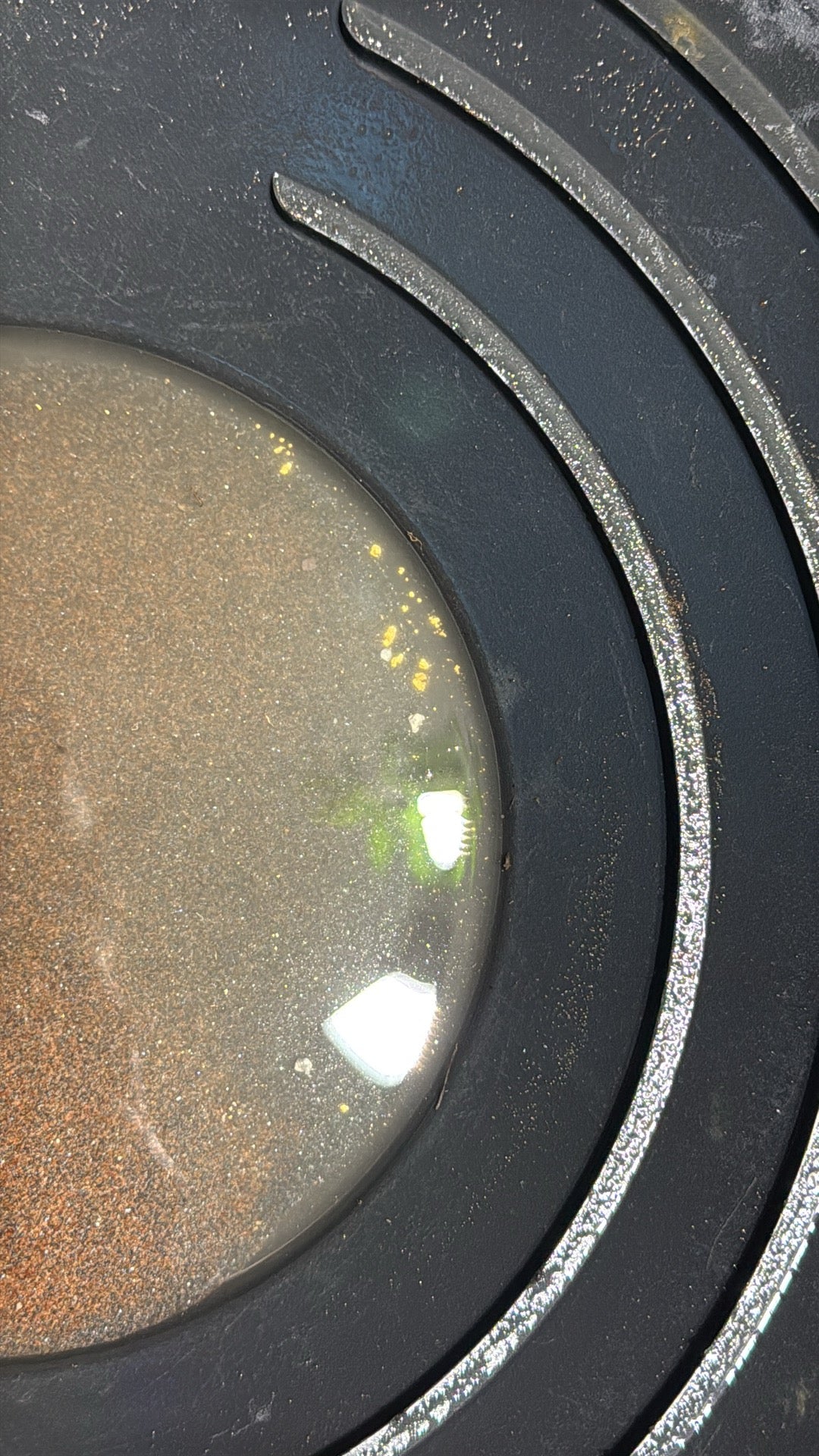 Paydirt by the pound (1-15 lbs)