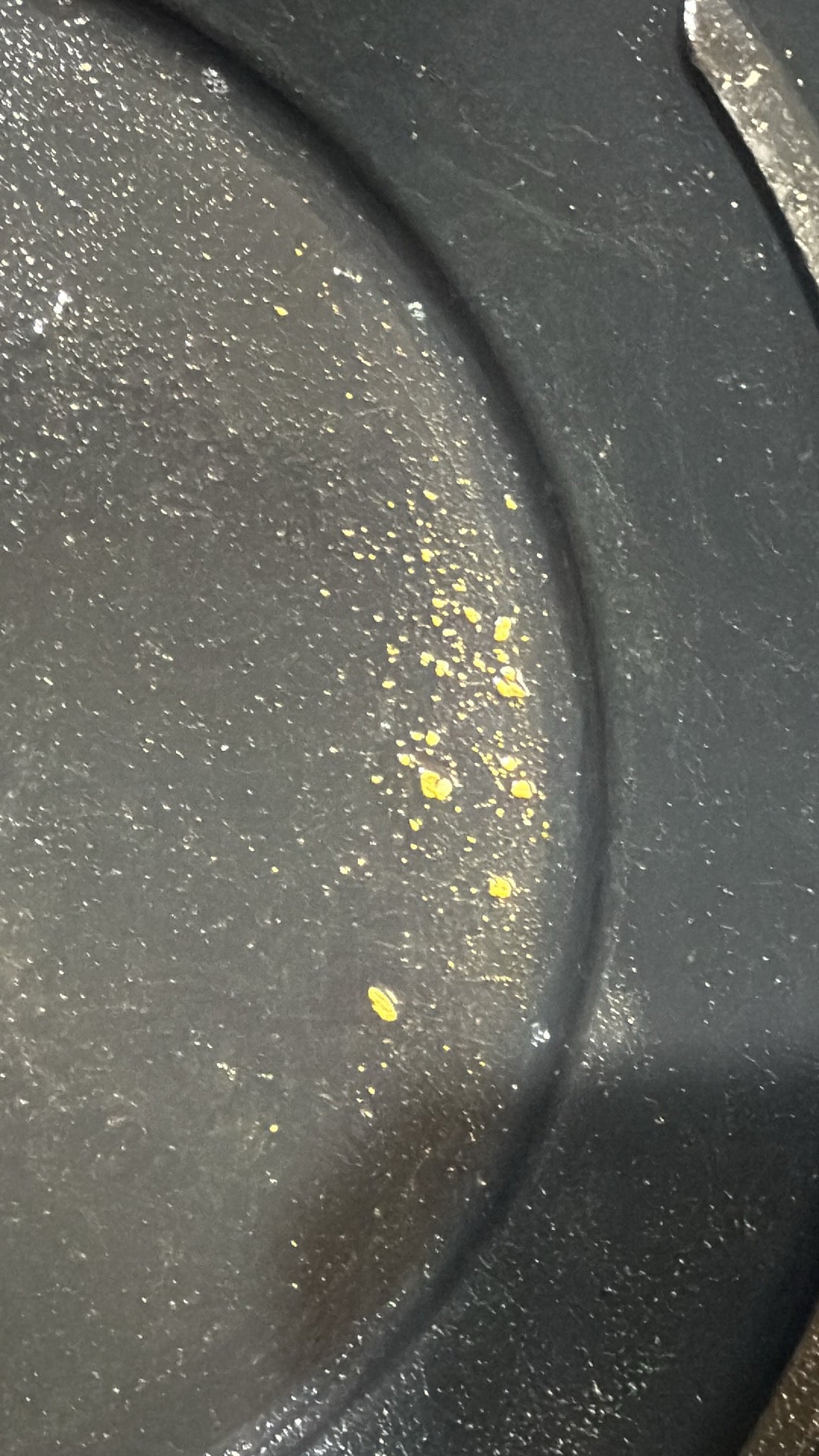 1.5 lbs Guaranteed Gold Paydirt